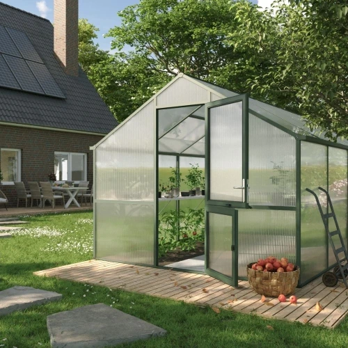 Greenhouse Nelke IV, fir green Greenhouse Nelke IV, fir green
