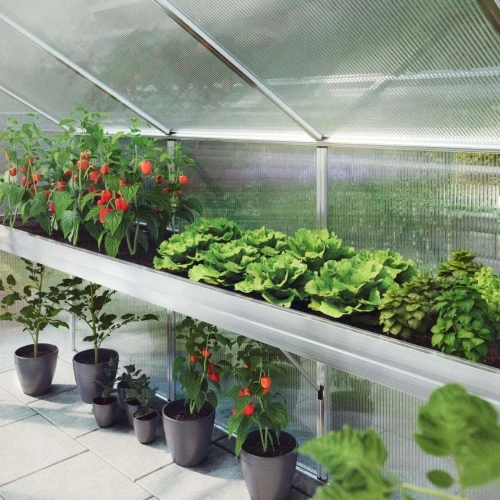 Plant tray Lilie Typ IV Plant tray Lilie Typ IV