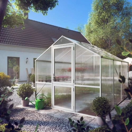 Greenhouse Rose III, blank Greenhouse Rose III, blank
