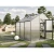 Greenhouse Dahlie III, fir green