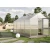 Greenhouse Dahlie IV, blank