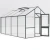 Greenhouse Dahlie IV, fir green