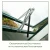 Greenhouse Callas IV, blank
