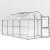 Greenhouse Iris IV, blank