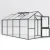 Greenhouse Iris IV, fir green