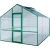 Greenhouse Lilie IV, moss green