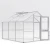 Greenhouse Nelke III, blank
