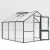Greenhouse Nelke III, fir green