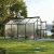 Greenhouse Novum IV, only polycarbonate, fir green