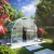 Greenhouse Rhodo III, blank
