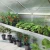 Plant tray Iris Typ II