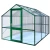 Greenhouse Rose III, moss green