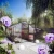 Greenhouse Rose IV, anthracite-grey