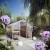 Greenhouse Rose IV, blank