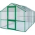 Greenhouse Rose IV, moss green